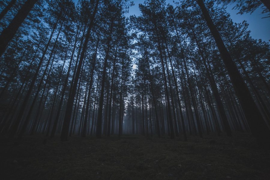 Secretos en la oscuridad